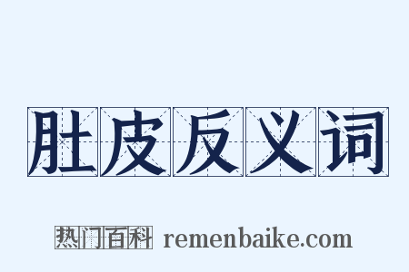 肚皮反义词是什么意思的图片